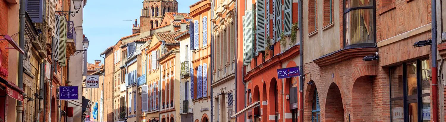 Photo d'une rue commerçante de Toulouse